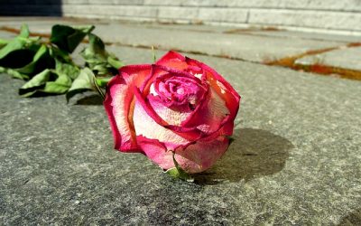 Sex, death and your soul…what it takes to write